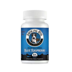 Blue Raspberry Max THC Gummy