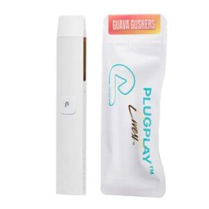 Plugplay Disposable 2g