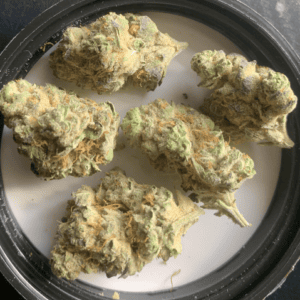 Brownie Scout Strain 